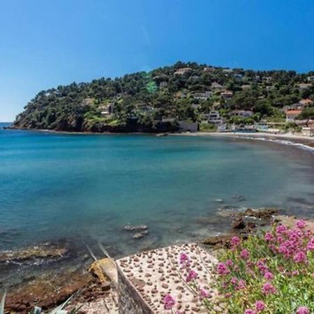 Grande Maison De Ville Atypique - 4 Nuits Mini La Seyne-sur-Mer Kültér fotó